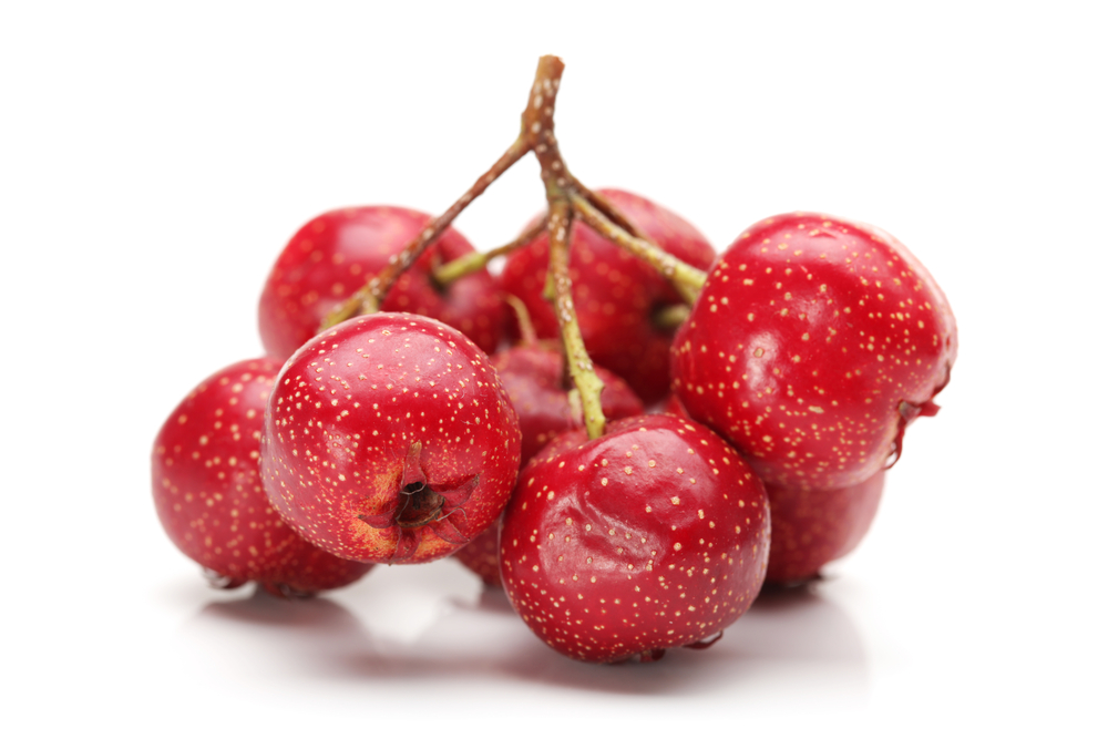Hawthorn