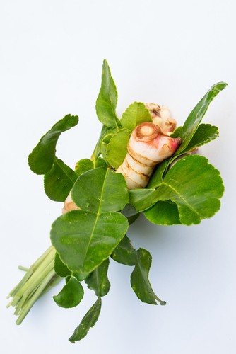 galangal