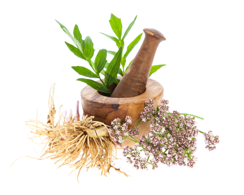 Valerian root