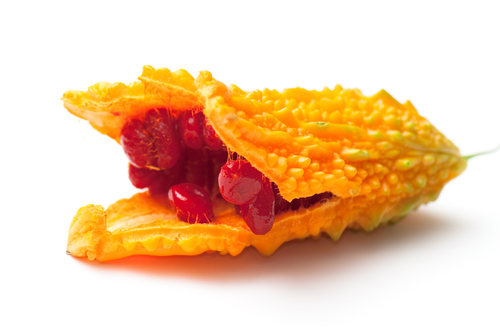 Momordica