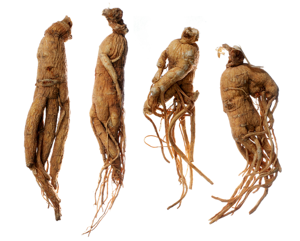 Ginseng.jpg Ginseng.jpg