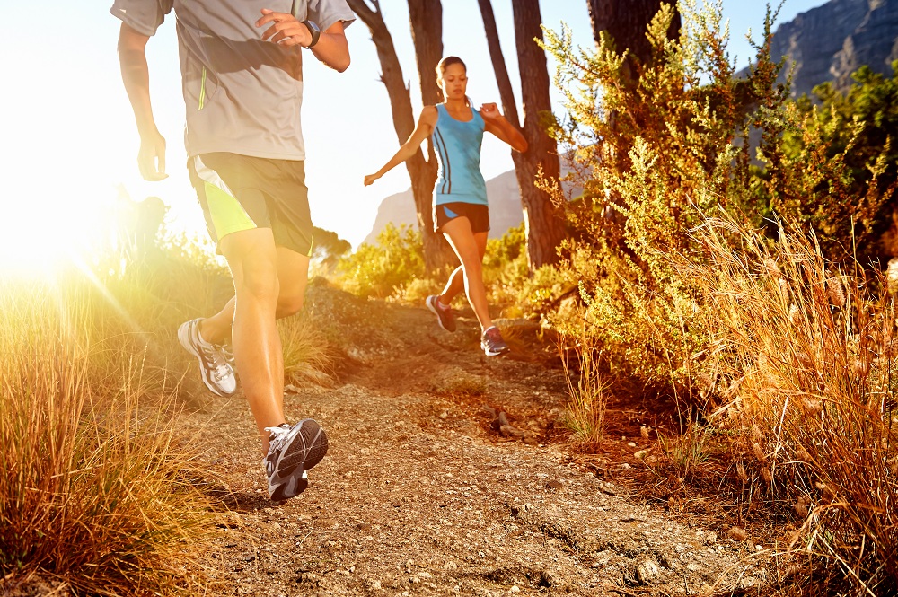 andrographis for sport