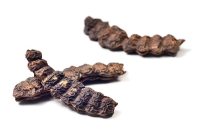 Шикакаи (Shikakai) - Acacia concinna