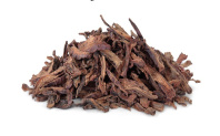 Ашока - Saraca indica